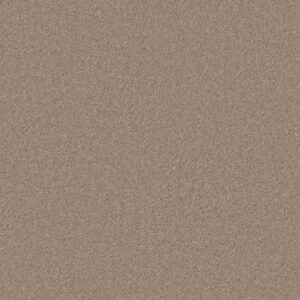 Anderson Tuftex Carpet Cashmere Classic I White Pine 00720_CCS68
