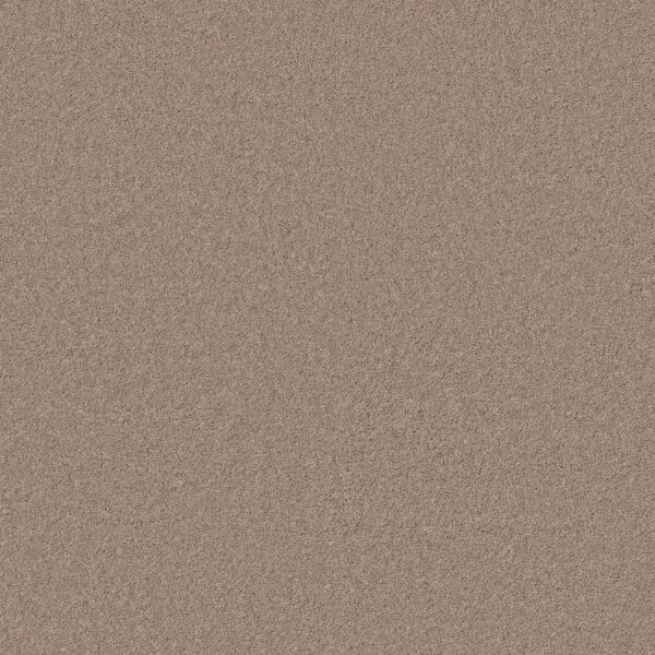 Anderson Tuftex Carpet Cashmere Classic I White Pine 00720_CCS68