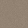 Anderson Tuftex Carpet Cashmere Classic I Pecan Bark 00721_CCS68