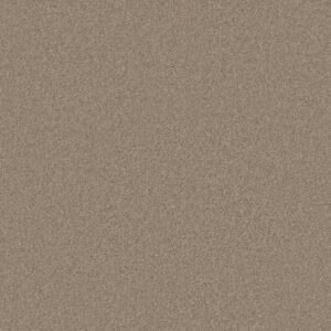 Anderson Tuftex Carpet Cashmere Classic I Pecan Bark 00721_CCS68