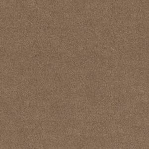 Anderson Tuftex Carpet Cashmere Classic I Pebble Path 00722_CCS68