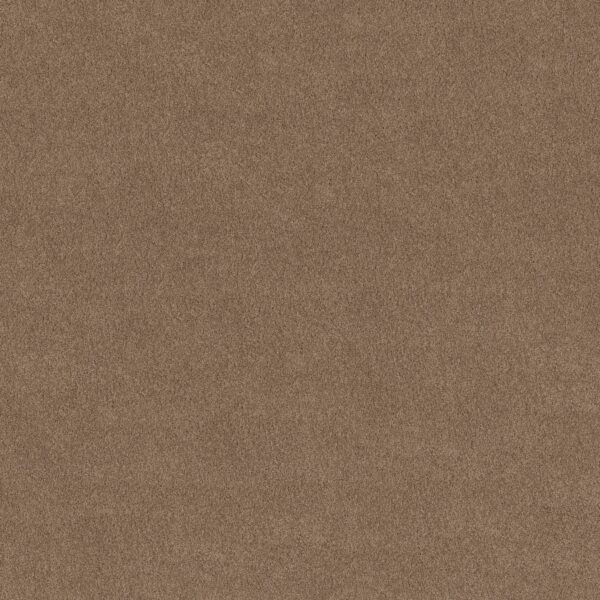 Anderson Tuftex Carpet Cashmere Classic I Pebble Path 00722_CCS68