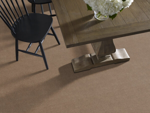 Anderson Tuftex Carpet Cashmere Classic I Pebble Path 00722_CCS68 - Image 2