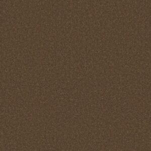 Anderson Tuftex Carpet Cashmere Classic I Tobacco Leaf 00723_CCS68