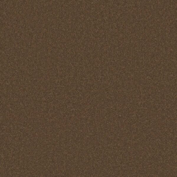 Anderson Tuftex Carpet Cashmere Classic I Tobacco Leaf 00723_CCS68