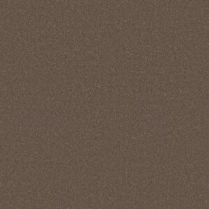 Anderson Tuftex Carpet Cashmere Classic I Mesquite 00724_CCS68