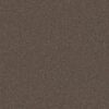 Anderson Tuftex Carpet Cashmere Classic I Spring - Wood 00725_CCS68