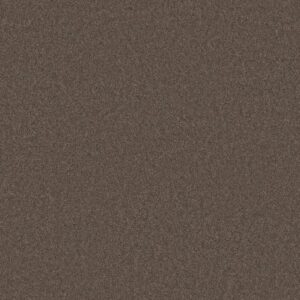 Anderson Tuftex Carpet Cashmere Classic I Spring - Wood 00725_CCS68