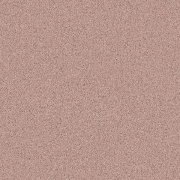 Anderson Tuftex Carpet Cashmere Classic I Ballet Pink 00820_CCS68