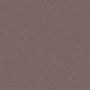 Anderson Tuftex Carpet Cashmere Classic I Heather 00922_CCS68