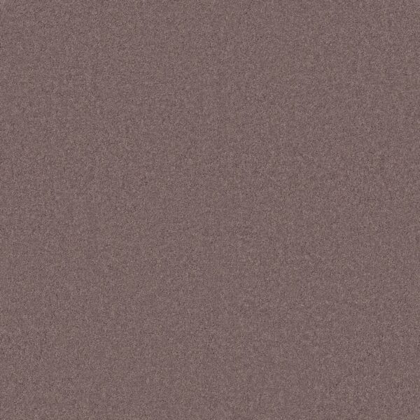 Anderson Tuftex Carpet Cashmere Classic I Heather 00922_CCS68