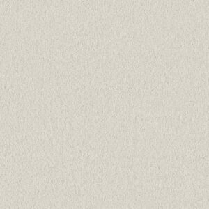 Anderson Tuftex Carpet Cashmere Classic Ii Crisp 00120_CCS69