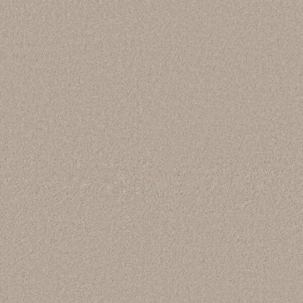 Anderson Tuftex Carpet Cashmere Classic Ii Bismuth 00124_CCS69