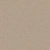 Anderson Tuftex Carpet Cashmere Classic Ii Suede 00127_CCS69
