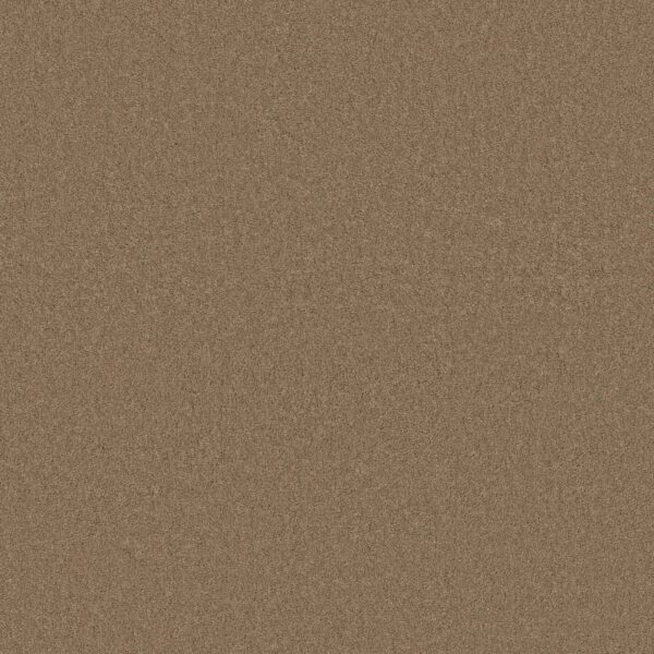 Anderson Tuftex Carpet Cashmere Classic Ii Navajo 00703_CCS69