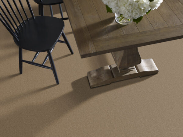 Anderson Tuftex Carpet Cashmere Classic Ii Navajo 00703_CCS69 - Image 2