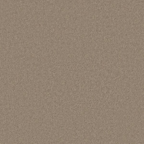 Anderson Tuftex Carpet Cashmere Classic Ii Pecan Bark 00721_CCS69