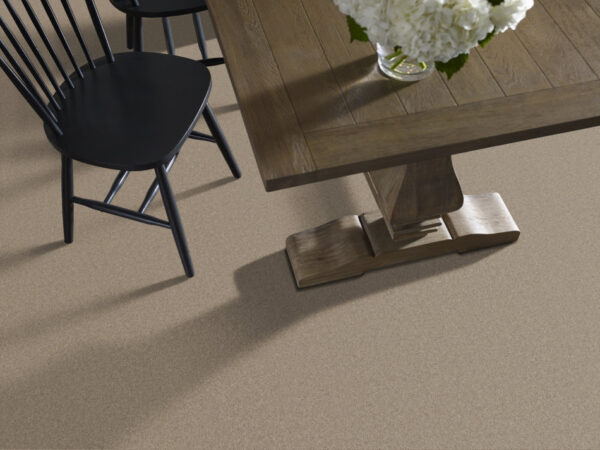 Anderson Tuftex Carpet Cashmere Classic Ii Pecan Bark 00721_CCS69 - Image 2