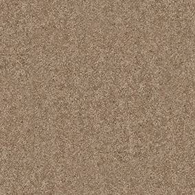 Anderson Tuftex Carpet Cashmere Classic Ii Pebble Path 00722_CCS69