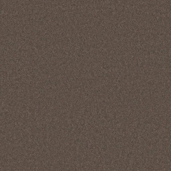 Anderson Tuftex Carpet Cashmere Classic Ii Spring - Wood 00725_CCS69