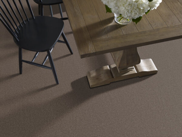 Anderson Tuftex Carpet Cashmere Classic Ii Spring - Wood 00725_CCS69 - Image 2