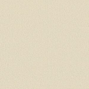 Anderson Tuftex Carpet Cashmere Classic Iii Icelandic 00100_CCS70
