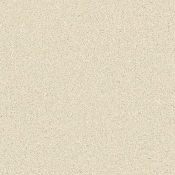 Anderson Tuftex Carpet Cashmere Classic Iii Icelandic 00100_CCS70