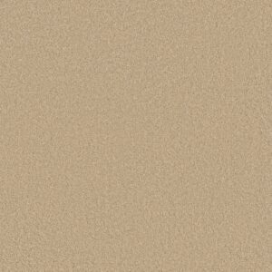 Anderson Tuftex Carpet Cashmere Classic Iii Yearling 00107_CCS70