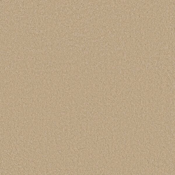 Anderson Tuftex Carpet Cashmere Classic Iii Yearling 00107_CCS70