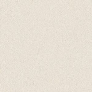 Anderson Tuftex Carpet Cashmere Classic Iii Crisp 00120_CCS70