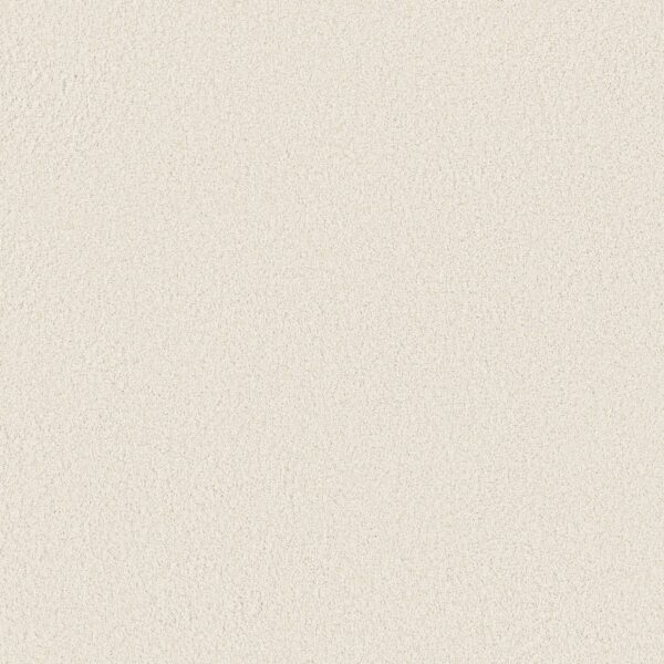 Anderson Tuftex Carpet Cashmere Classic Iii Crisp 00120_CCS70