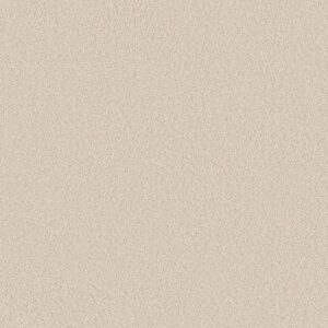 Anderson Tuftex Carpet Cashmere Classic Iii Fresh Cream 00121_CCS70