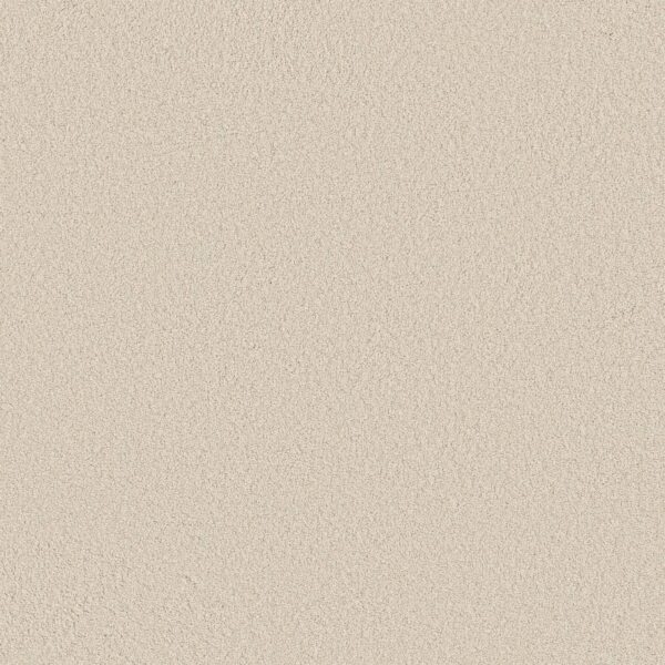 Anderson Tuftex Carpet Cashmere Classic Iii Fresh Cream 00121_CCS70