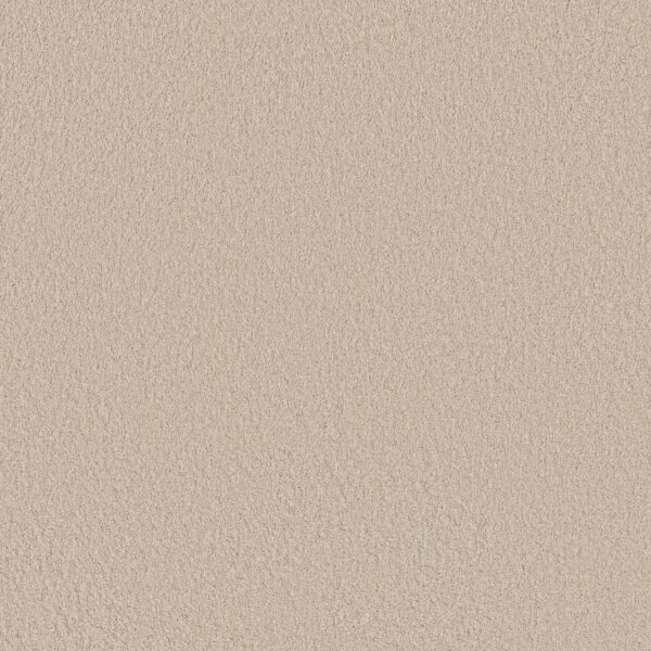 Anderson Tuftex Carpet Cashmere Classic Iii Heirloom 00122_CCS70