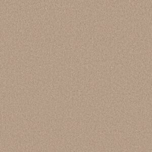 Anderson Tuftex Carpet Cashmere Classic Iii Harvest Moon 00126_CCS70