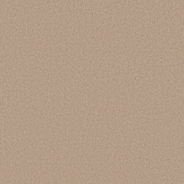 Anderson Tuftex Carpet Cashmere Classic Iii Harvest Moon 00126_CCS70