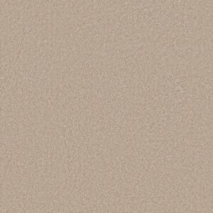 Anderson Tuftex Carpet Cashmere Classic Iii Suede 00127_CCS70