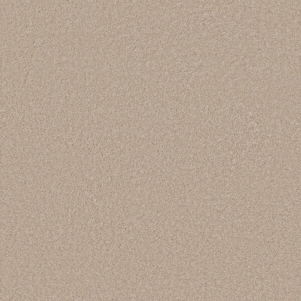 Anderson Tuftex Carpet Cashmere Classic Iii Suede 00127_CCS70
