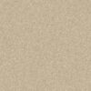Anderson Tuftex Carpet Cashmere Classic Iii Gentle Doe 00128_CCS70