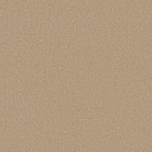 Anderson Tuftex Carpet Cashmere Classic Iii Manilla 00221_CCS70