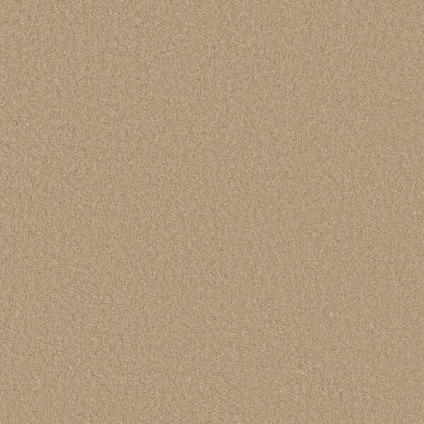 Anderson Tuftex Carpet Cashmere Classic Iii Manilla 00221_CCS70