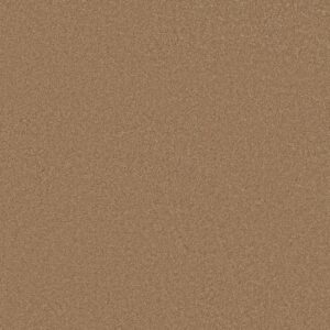 Anderson Tuftex Carpet Cashmere Classic Iii Brass Lantern 00222_CCS70