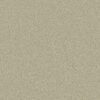 Anderson Tuftex Carpet Cashmere Classic Iii Celadon 00322_CCS70