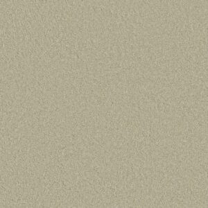 Anderson Tuftex Carpet Cashmere Classic Iii Celadon 00322_CCS70