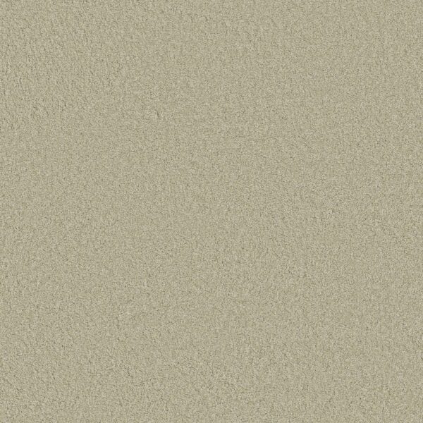 Anderson Tuftex Carpet Cashmere Classic Iii Celadon 00322_CCS70