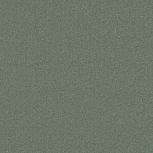Anderson Tuftex Carpet Cashmere Classic Iii Jade 00323_CCS70