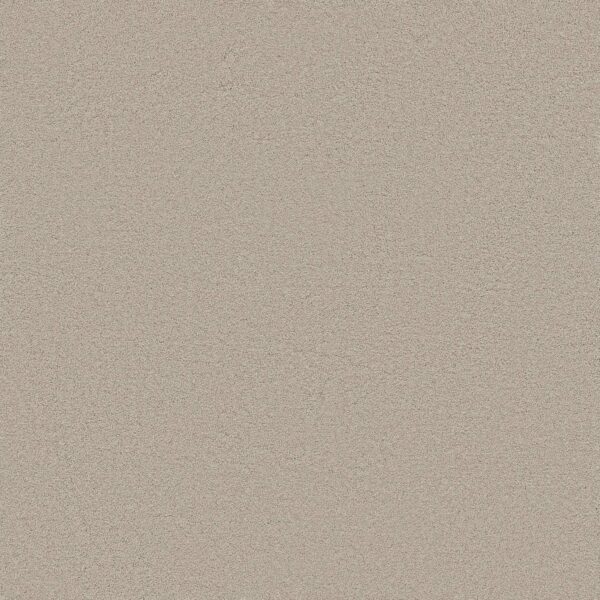 Anderson Tuftex Carpet Cashmere Classic Iii Sterling 00511_CCS70