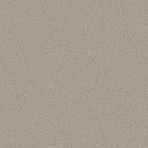 Anderson Tuftex Carpet Cashmere Classic Iii Froth 00520_CCS70