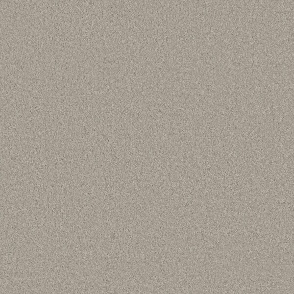 Anderson Tuftex Carpet Cashmere Classic Iii Froth 00520_CCS70