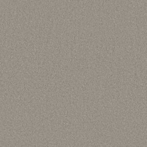 Anderson Tuftex Carpet Cashmere Classic Iii Haze 00521_CCS70